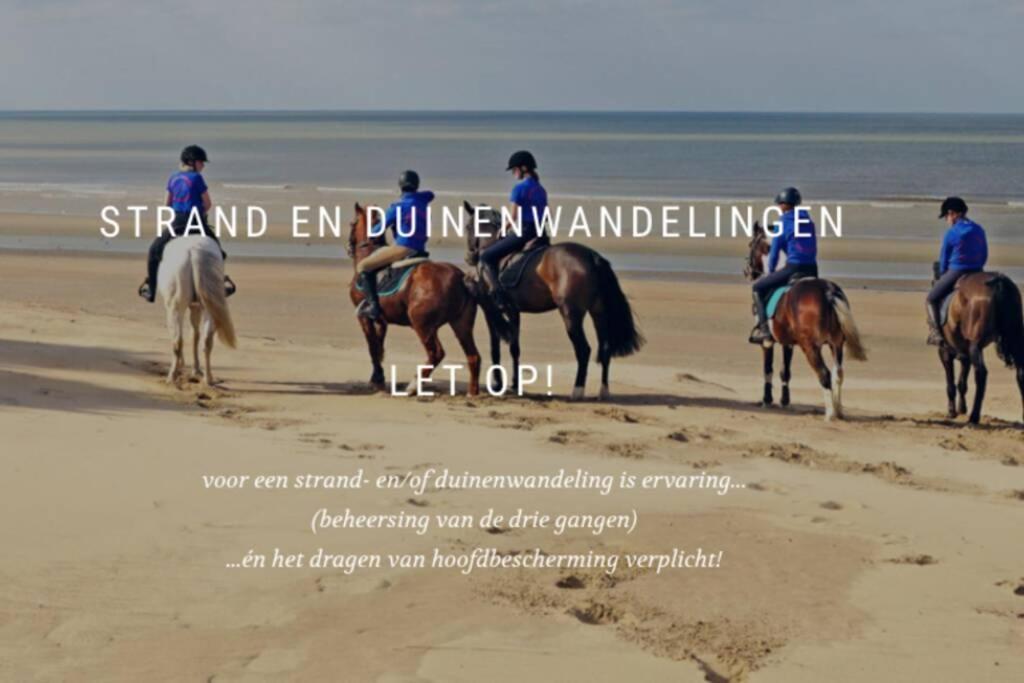 Villa Friedolin Heeft Zicht Op Zee En Duinen, In Duinenreservaat, Hot Tub Met Jacuzzi En Sauna Met Zeezichten Te أوستدوينكيرك المظهر الخارجي الصورة